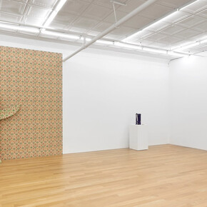 Nicholas Galanin, The persistence of Land claims in a climate of change, exhibition view. Courtesy of Peter Blum Gallery