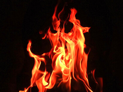 Acercamiento a una llama: a la media hora, me acordé de por qué detestaba venir a su clase