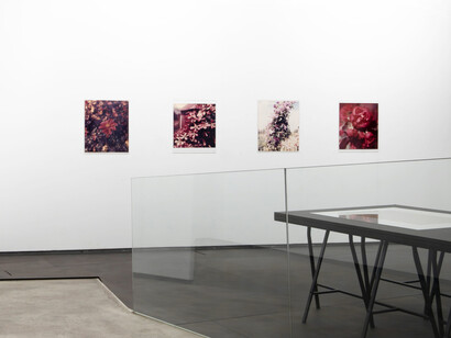 Various artists, Flowing under, exhibition view. Courtesy of PM8 Gallery