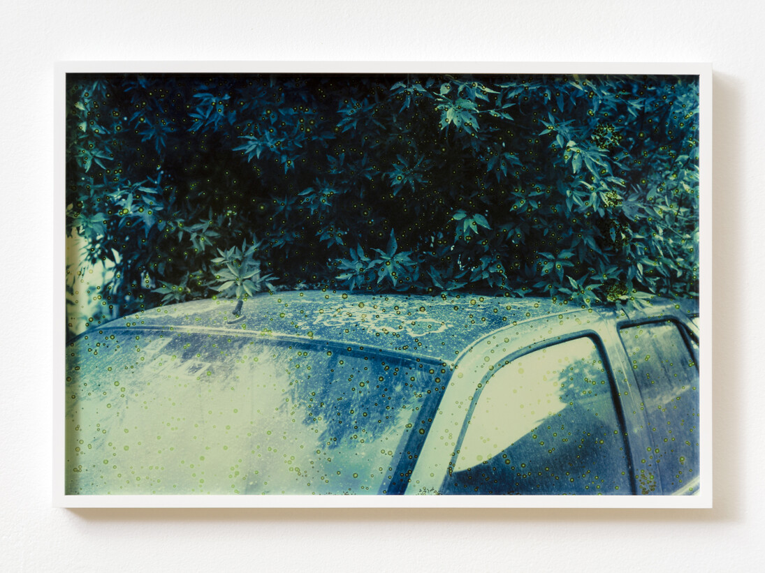 Basim Magdy, The Hollow Desire to Populate Imaginary Cities, 2014. 30 C-Prints from chemically altered slides on metallic paper, 34 x 51 cm each. Installation view at Art in General. Image courtesy the artist and Art in General. Photo: Charles Benton.