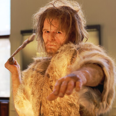 The Cro-Magnon 1 model, representing a Homo sapiens man, is exhibited at the Natural History Museum in Vienna, Austria