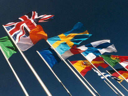 EU flags