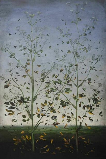 Michael Canning, A disappearance of things