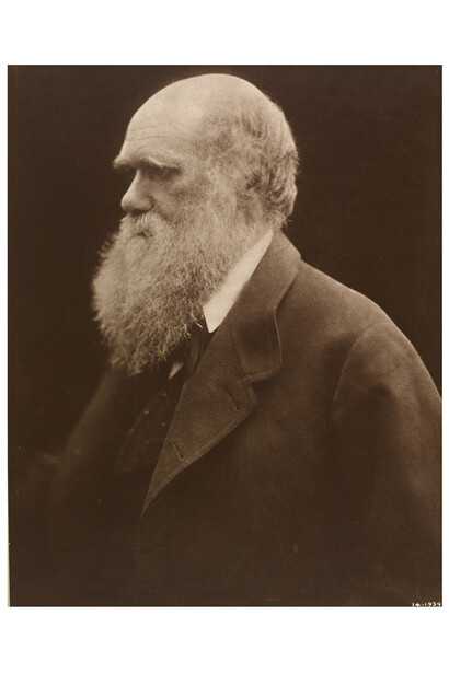 Charles Darwin, Julia Margaret Cameron, 1868, printed 1875 © Victoria and Albert Museum, London