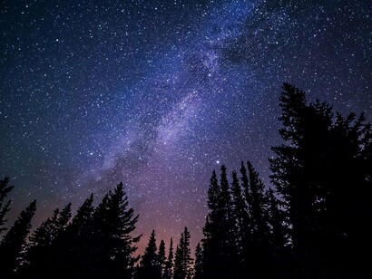 The natural philosopher and the mathematician keep on employing their proper talents and tools, in order to unveil reality