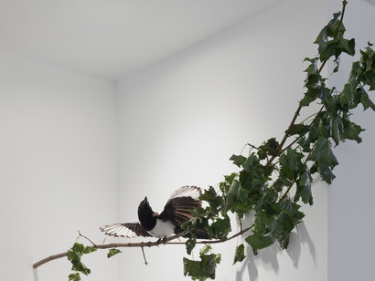 Sunset Décor, Exhibition view. Courtesy of Marian Goodman Gallery