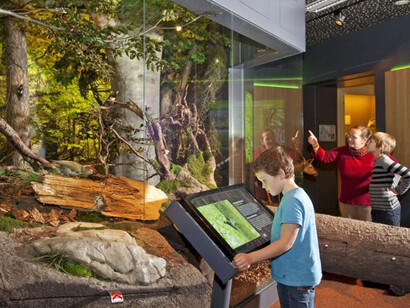 Habitats Diorama. Courtesy of Haus der Natur 