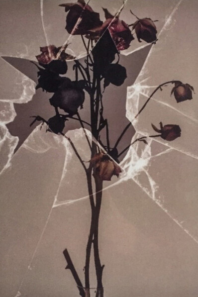 (Just) Out of Reach, Amy Oliver