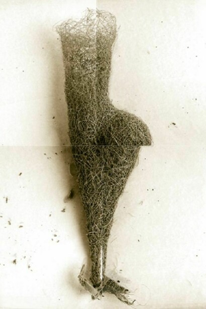 Laurie Rubin, Long Weaver Bird Nest From India, 4-panel photograph, 26 x 38 inches