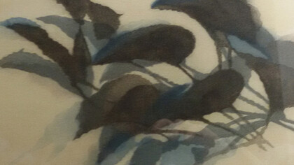 Davide Benati, Foglie, 1988. Acquatinta