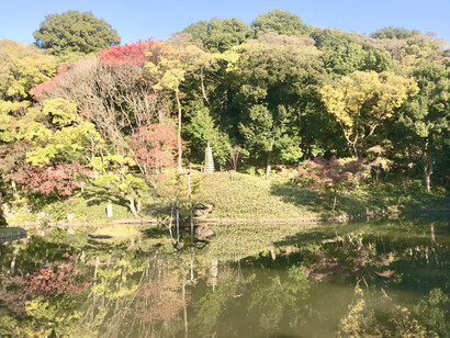 Higo Hosokawa Garden © Alma Reyes