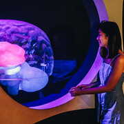 Tuning In: Brain and Body. Courtesy of Science Centre