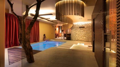 The large olive tree placed inside the structure, ph. Maurizio Marcato 