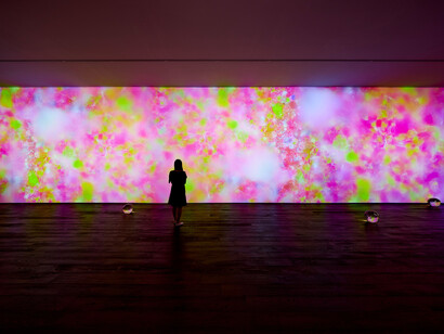Kim Taek Sang, As it is, exhibition view. Courtesy of Johyun Gallery