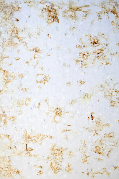 Joseph Cohen, Proposition 503 (detail). Courtesy of Friedrichs Pontone