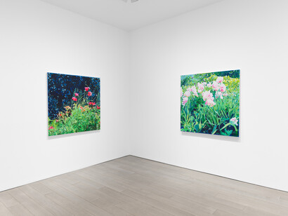 Isca Greenfield-Sanders, The language of flowers, exhibition view. Courtesy of Miles McEnery Gallery