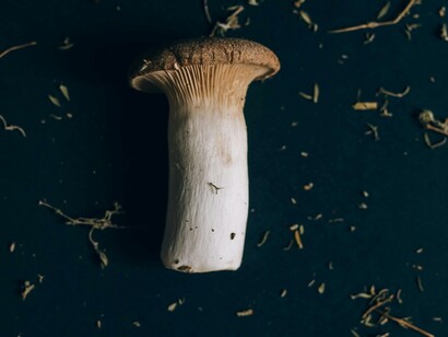 Grazie alla sua versatilità, il cardoncello può essere cucinato alla griglia, al forno, trifolato o utilizzato in zuppe e risotti