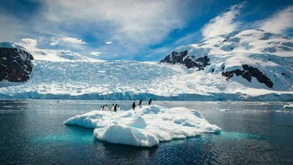 The Antarctic  