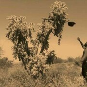 Samson Kambalu, Exhibition view. Courtesy of NSU Art Museum