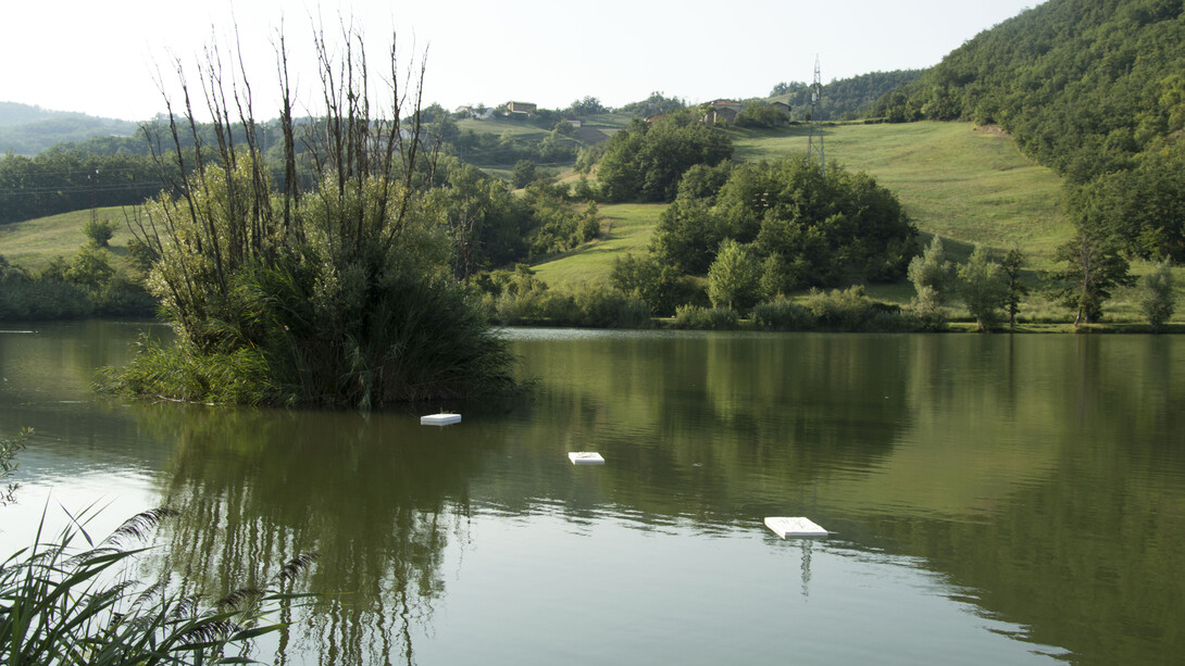 Costanza Battaglini - Lago di Santa Maria