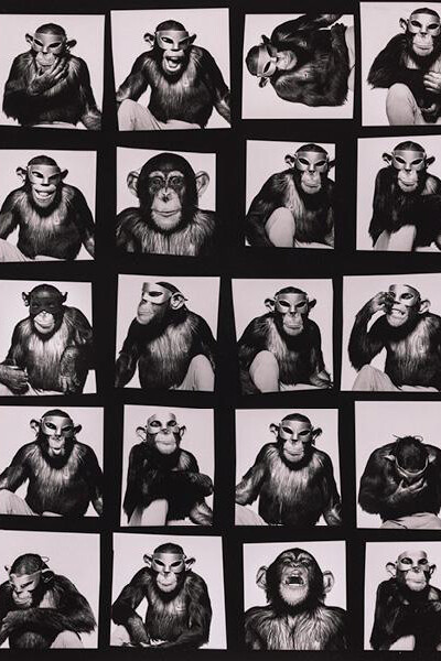 Photography in the Era of the Contact Sheet. Courtesy of Cleveland Museum of Art