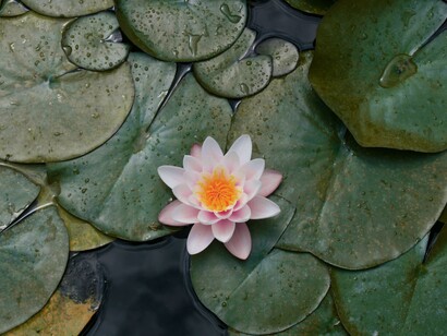 Come si impara a rispettare se stessi e gli altri?