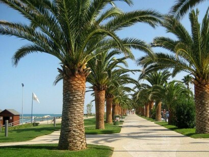 Il lungomare con palme importate dalle isole Canarie rappresenta il meglio di una passeggiata tra le più belle dell’Adriatico