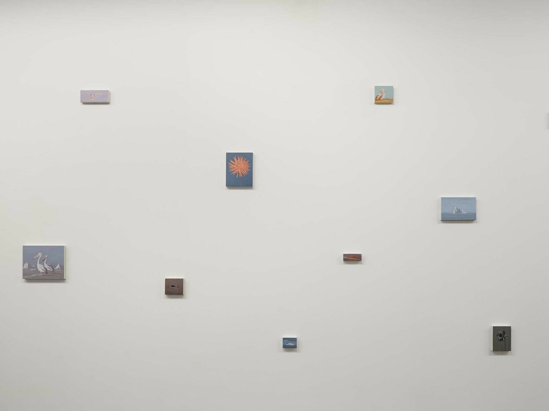 Miguel Branco, Spectres, Exhibition view. Courtesy of Jeanne Bucher Jaeger