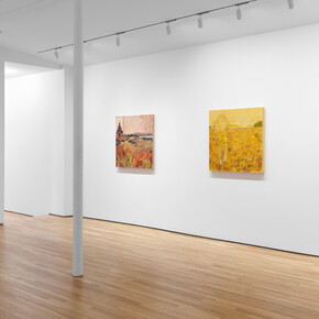 Tessa Greene O’Brien, Poems from here, exhibition view. Courtesy of Alexandre Gallery