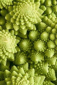 È sicuramente un consiglio salutare che i cavoli siano frequentemente presenti nei nostri pasti