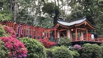 Otome Inari Shrine with viewing platform © Alma Reyes