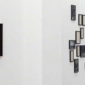 Alice Cattaneo. Courtesy of Galerie Hubert Winter