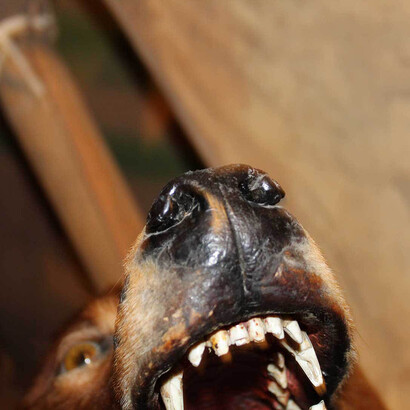 Art of Resilience. Courtesy of Glenbow