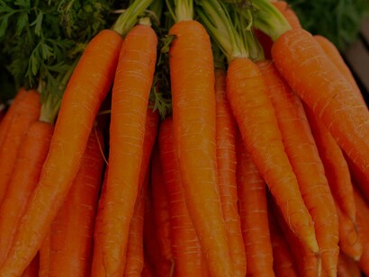 Carrots are root vegetables that are excellent at combating wind and keeping a healthy and energetic system as stipulated by those who are familiar with traditional Chinese medicine (TCM)