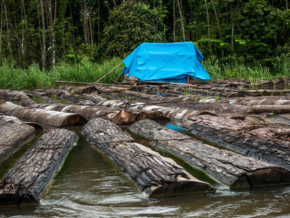 A ambos lados del río Putumayo se va recogiendo madera
