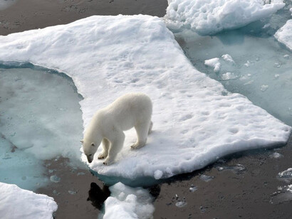 The dangerous greenhouse gas methane is bubbling up from melting permafrost in the Arctic and from the shallow seas North of Siberia
