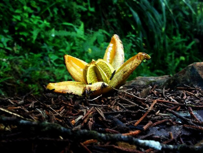 A día de hoy todo parece indicar que tendremos más biotopos en nuestras ciudades