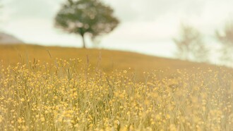 O mundo tornou-se uma aldeia na qual somos interdependentes