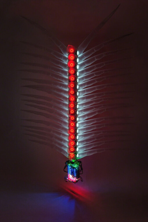 Incubate. Courtesy of Ronald Feldman Fine Arts