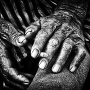 Palazzina Marfisa d'Este