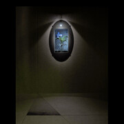 Richard Venlet. Courtesy of Bozar