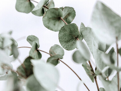 Podemos darnos cuenta de que es posible salir de la sin salida externa encontrando el camino interno y personal