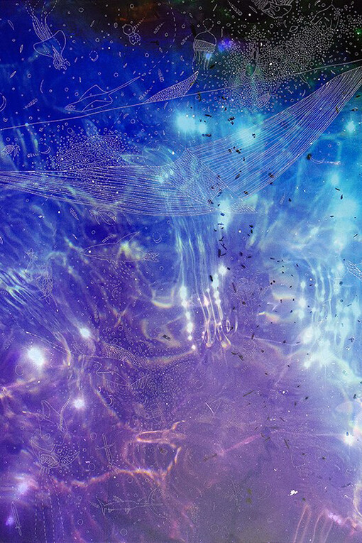 Giulia Lazzaron, Mutazione Genetica Whale, 2019, incisione diretta su fotografia ottenuta da pellicola modificata chimicamente, carta fotografica applicata su di-bond, cm 50x70. Esemplare 1/1.
