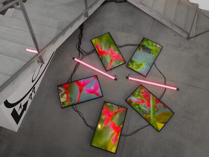 Various artists, David Zwirner: 30 years, exhibition view. Courtesy of David Zwirner Gallery