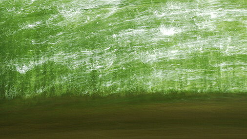 Amos Gitai, Tappeto 2 Colore, Azerbaijan, 2011