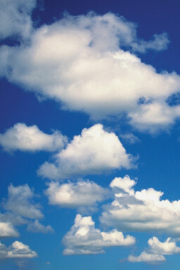 Impariamo dal qui e ora, arricchiamo le nostre esperienze di vita aprendo mente, cuore