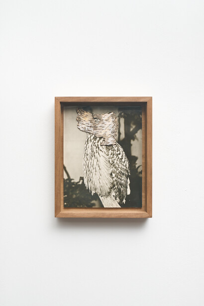 Various artists, Al lupo, al lupo, exhibition view. Courtesy of The Address