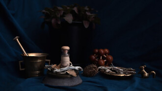 Dried Psilocybe cubensis mushrooms, often associated with therapeutic and spiritual use