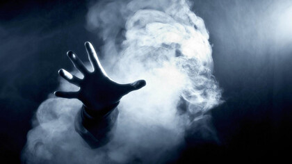 Fra le fronde degli alberi