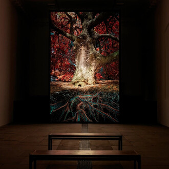 Marshmallow Laser Feast, Of the oak, exhibition view. Courtesy of Yorkshire Sculpture Park